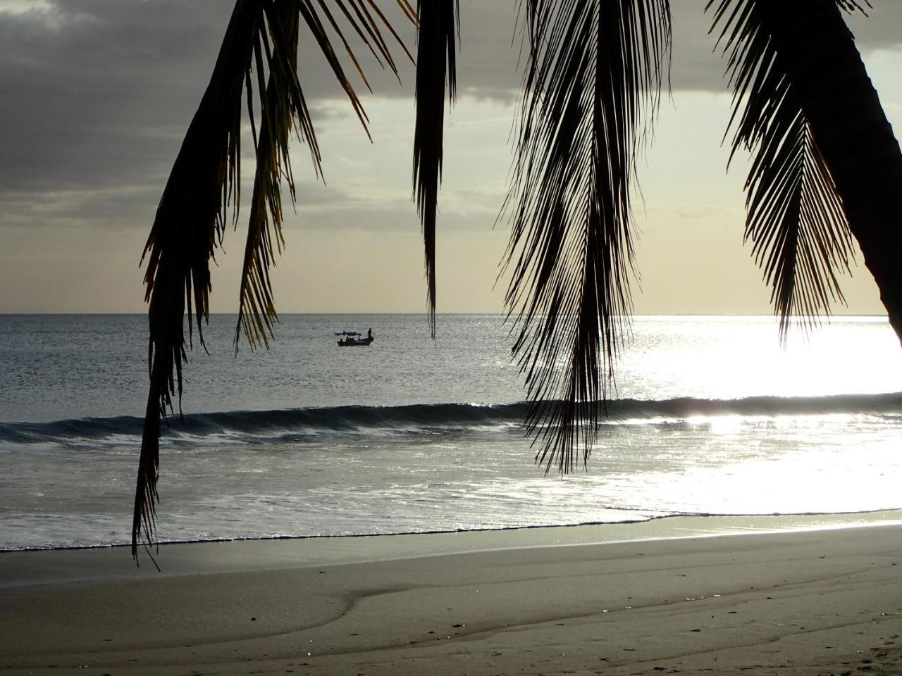 Morrillo Beach Eco Resort المظهر الخارجي الصورة