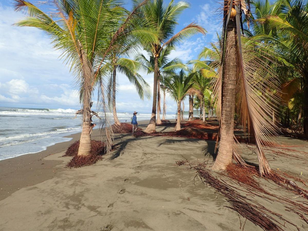 Morrillo Beach Eco Resort المظهر الخارجي الصورة